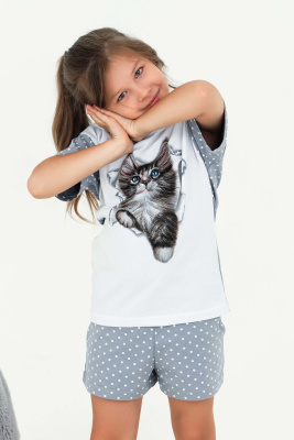 fd1d96bf-df73-415d-b606-8a921152fd76