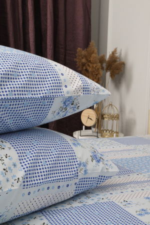 4d2e6479-0605-410c-a65e-ece910ce460c